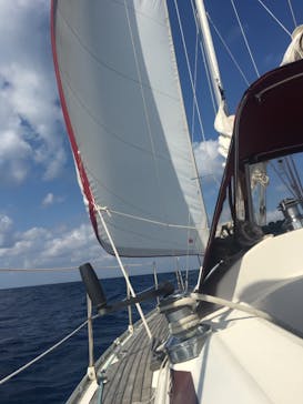 チャーターヨット沖縄に投稿された画像（2018/11/15）