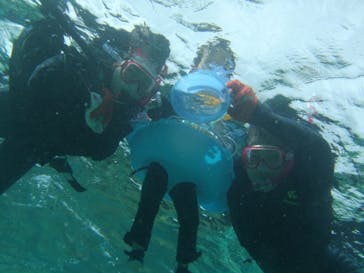 沖縄ダイビングショップシーモールに投稿された画像（2018/11/24）