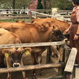 那須高原りんどう湖ファミリー牧場に投稿された画像（2018/9/24）