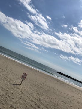 松島熱気球・パラグライダー体験に投稿された画像（2018/10/8）