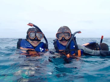 Sea World（シーワールド）に投稿された画像（2019/6/2）