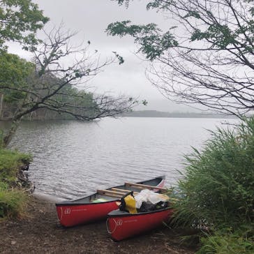 Matatabi（マタタビ）に投稿された画像（2018/8/14）