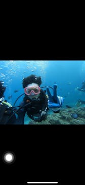 武藤潜水に投稿された画像（2019/3/21）