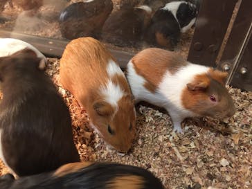 オービィ横浜に投稿された画像（2017/10/1）