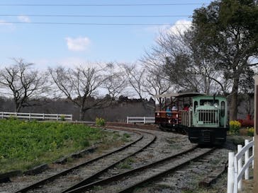 成田ゆめ牧場に投稿された画像（2018/5/31）