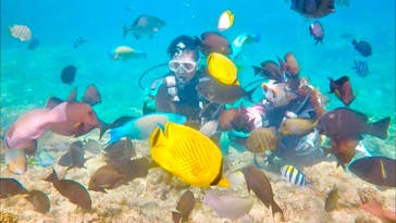 青の洞窟専門店　沖縄ダイビングショップ和に投稿された画像（2018/7/27）