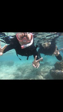 武藤潜水に投稿された画像（2019/3/26）