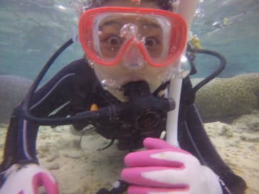 武藤潜水に投稿された画像（2018/2/14）