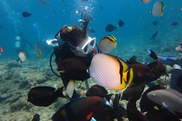 diving&workshop IHANASHI（ダイビングアンドワークショップイハナシ）に投稿された画像（2018/9/18）