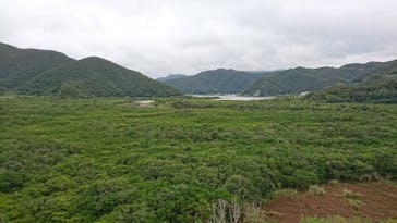 マングローブ茶屋に投稿された画像（2019/2/16）