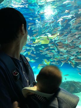 サンシャイン水族館に投稿された画像（2018/8/19）