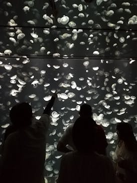 海遊館に投稿された画像（2018/7/14）