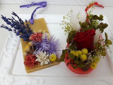 ずこうしつ〜sugamo〜に投稿された画像（2018/11/17）