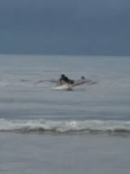 IL SURFに投稿された画像（2018/6/30）
