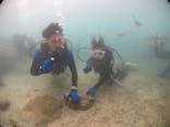diving&workshop IHANASHI（ダイビングアンドワークショップイハナシ）に投稿された画像（2018/8/12）