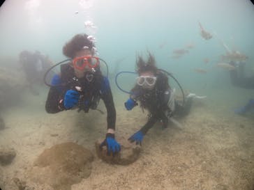 diving&workshop IHANASHI（ダイビングアンドワークショップイハナシ）に投稿された画像（2018/8/12）