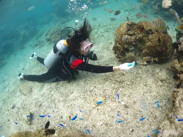 diving&workshop IHANASHI（ダイビングアンドワークショップイハナシ）に投稿された画像（2018/11/2）