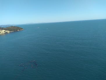 松島熱気球・パラグライダー体験に投稿された画像（2019/4/29）