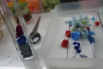 ずこうしつ〜sugamo〜に投稿された画像（2019/5/18）