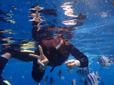 ダイビングショップ Sea Free（シーフリー）に投稿された画像（2019/4/19）