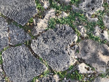 青の洞窟専門店　沖縄ダイビングショップ和に投稿された画像（2018/6/2）