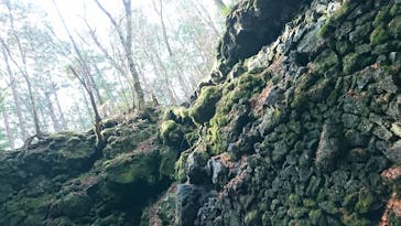 THE HIGHEST PEAKに投稿された画像（2018/11/18）