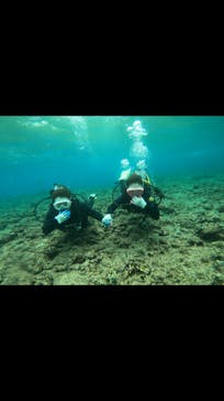 武藤潜水に投稿された画像（2019/3/27）