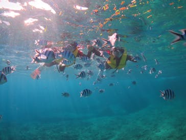 diving&workshop IHANASHI（ダイビングアンドワークショップイハナシ）に投稿された画像（2018/9/14）