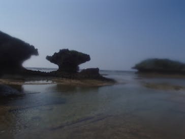 沖縄マリンクラブ結に投稿された画像（2019/5/12）