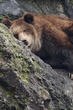 阿蘇カドリー・ドミニオンに投稿された画像（2018/12/30）