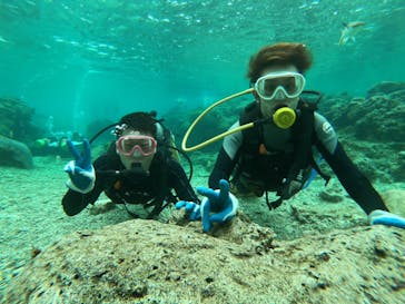 武藤潜水に投稿された画像（2019/2/17）