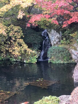 箱根美術館に投稿された画像（2018/11/12）