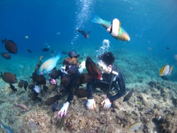 ドロップイン 沖縄に投稿された画像（2019/3/20）