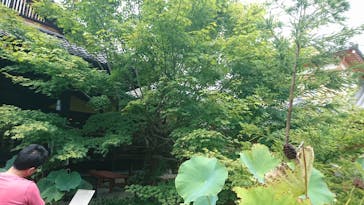 東福寺塔頭 勝林寺に投稿された画像（2018/8/13）