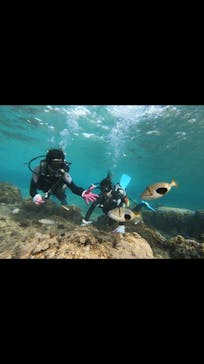青の洞窟専門店　沖縄ダイビングショップ和に投稿された画像（2019/5/6）