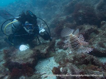 ダイビングスクールジェイズヘブンに投稿された画像（2017/10/16）