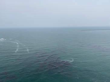 松島熱気球・パラグライダー体験に投稿された画像（2019/6/5）