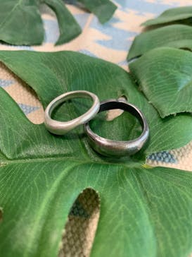 銀のイルカに投稿された画像（2019/4/28）