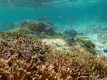 B-nature（ビーネイチャー）に投稿された画像（2019/5/5）