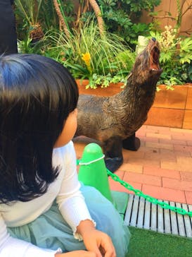 マクセル アクアパーク品川に投稿された画像（2018/11/23）