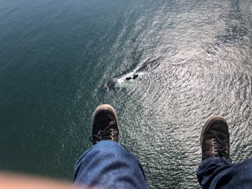 松島熱気球・パラグライダー体験に投稿された画像（2018/9/26）