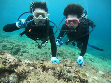 武藤潜水に投稿された画像（2019/3/18）