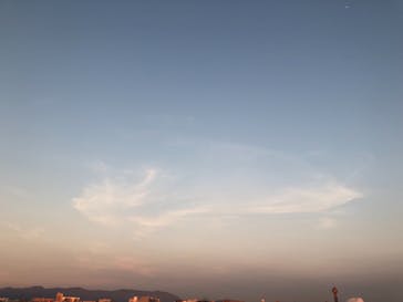 那珂川リバークルーズに投稿された画像（2018/7/14）