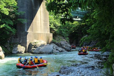 ネイチャー・ナビゲーター（みなかみ）に投稿された画像（2018/6/6）