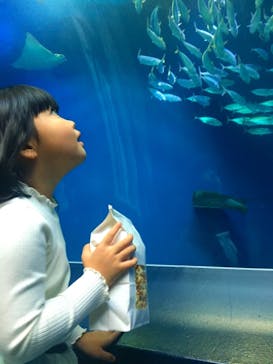 マクセル アクアパーク品川に投稿された画像（2018/11/23）