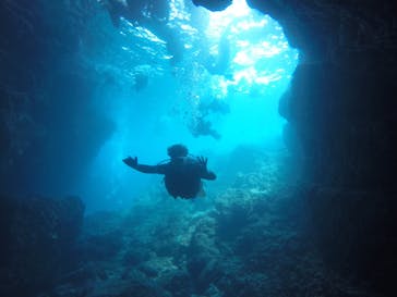 武藤潜水に投稿された画像（2019/3/27）