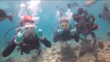 青の洞窟専門店　沖縄ダイビングショップ和に投稿された画像（2018/6/9）