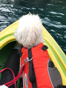 本栖湖アクティビティセンターに投稿された画像（2018/9/2）