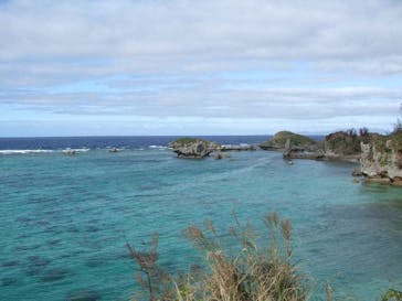 沖縄ダイビングショップシーモールに投稿された画像（2018/11/4）