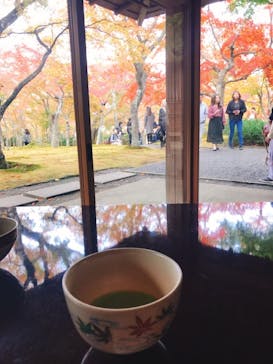 箱根美術館に投稿された画像（2018/11/18）